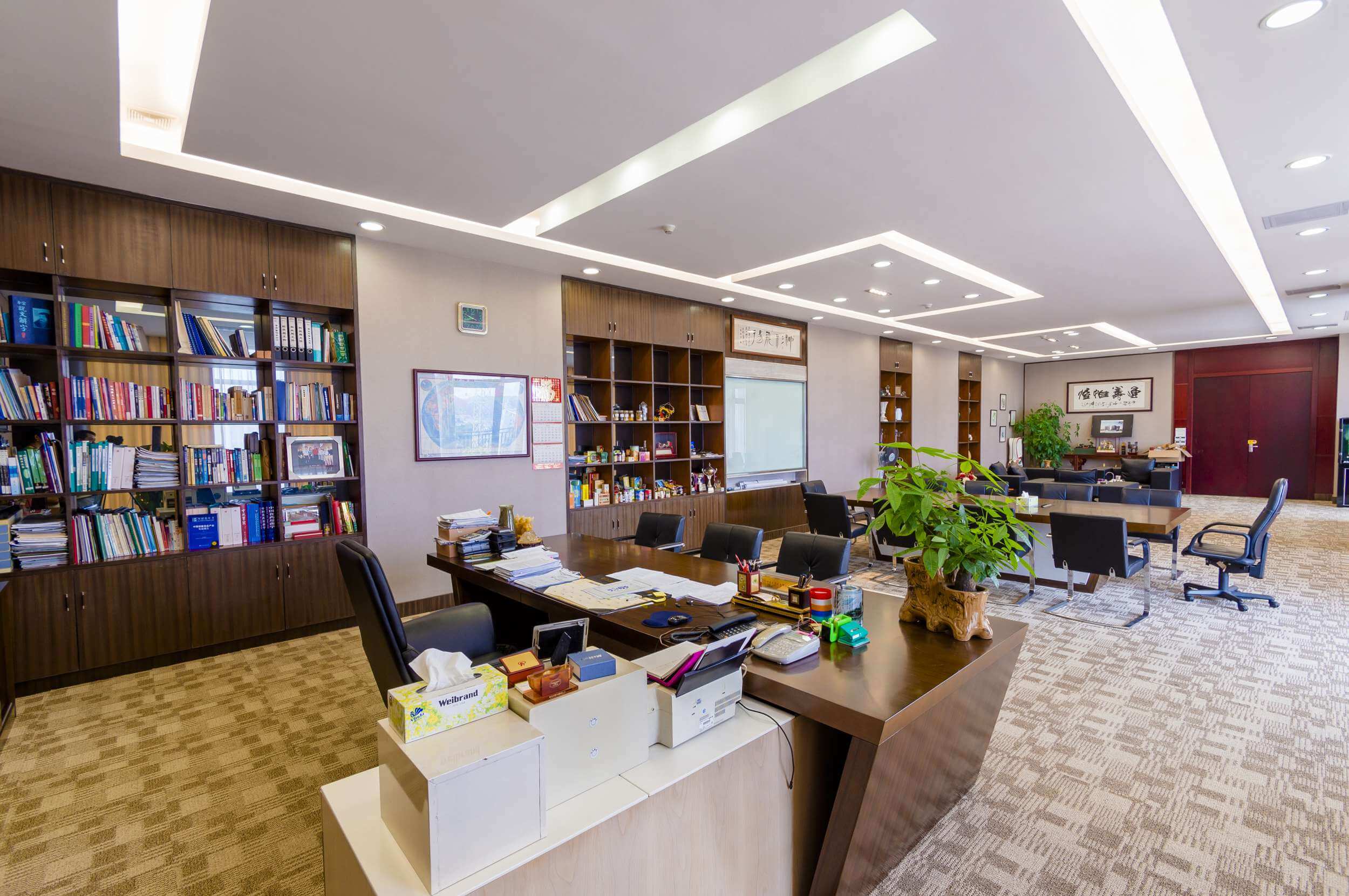 星河生物科技董事長(zhǎng)辦公室